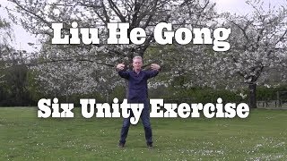 Qigong For Prostate Cancer  Liu He Gong Qigong Practice [upl. by Lacym525]