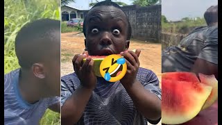 watermelonsean bridon comedy [upl. by Yzdnil]