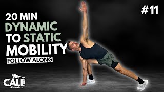 20 Min DYNAMIC TO STATIC FLEXIBILITY ROUTINE  Day 11 [upl. by Abana972]