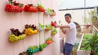 Recycling Plastic bottles into Beautiful vertical garden on Wall [upl. by Leidgam575]