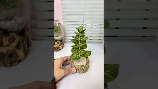 Ide pot skincare diy plasticbottlecraft craft idekreatifbotolplastik potakincare [upl. by Aineg521]