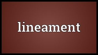 Lineament Meaning [upl. by Eugnimod]