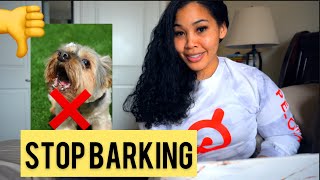 STOP BARKING PLEASE  Yorkie Training [upl. by Enialed652]