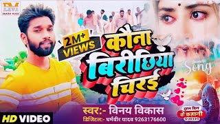 Sun Kaike Angna Hamar Ho Video  Vinay Vikash Bhojpuri Song  Nirgun Song  कवना बिरिछिईया ए चिरई [upl. by Frederico]