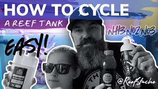 🦠 How to Cycle a Reef Tank ReefStash CADE build continues [upl. by Pepi]