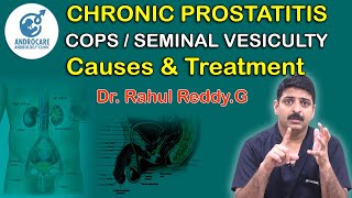 Chronic ProstatitisCPPS Seminal VesiculitisCauses And Treatment Dr Rahul Reddy  Androcare [upl. by Irallih798]