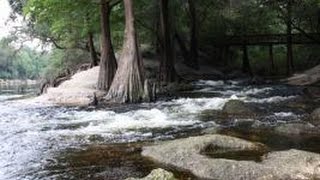 Suwannee River State Park [upl. by Janet]