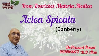 My Experiences with Actea Spicata [upl. by Ecnal]