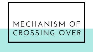 Mechanism of Crossing over Genetics JL amp DL [upl. by Nalat]