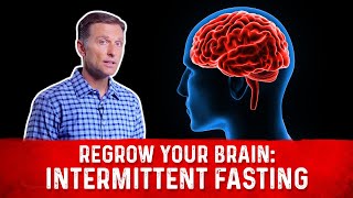 Regrow Your Brain with Intermittent Fasting – Brain Derived Neurotrophic Factor BDNF – DrBerg [upl. by Annodahs]