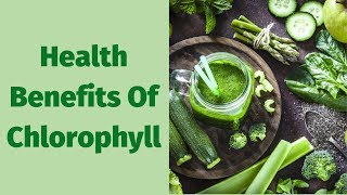 Top 10 Health Benefits Of Chlorophyll [upl. by Alon239]