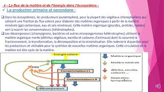 tronc commun Flux de matière et d’énergie dans les écosystèmes partie2 شرح بالداريجة SVT [upl. by Zetnom854]