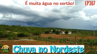 Nordeste Muitas chuva caindo em Vários Municípios Ep367 [upl. by Pineda]