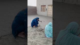 rozina vlogs villagelife seharalvi bajikalo [upl. by Lamdin]