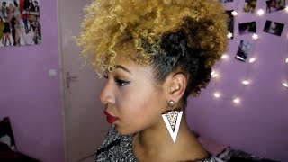 LE FROHAWK  CHEVEUX AFRO COURTS [upl. by Bick]