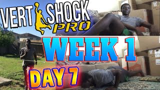 LAST DAY Of Week 1VERT SHOCK Pro Pre Shock PhaseWeek 1 Day 7FOLLOW ALONG [upl. by Malvia662]