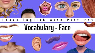 Learn English Vocabulary Face [upl. by Dnomar]