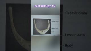 Hyoid bone diagram with naming shortshyoid bone 3d view diagramhyoid bone ytshortsmedical exams [upl. by Adiam]