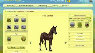 Howrse Foal Games Cher180 [upl. by Brynn]