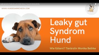 Leaky gut beim Hund Was soll ich bloß füttern Tierärztin Monika Bethke [upl. by Cristin]