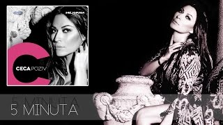 Ceca  5 minuta  Audio 2013 HD [upl. by Labinnah]