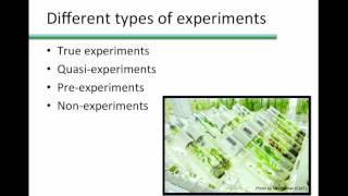 True Quasi Pre and Non Experimental designs [upl. by Rheinlander]