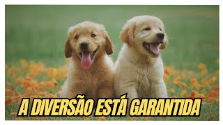 CACHORROS FOFOS SE DIVIRTA COM ESSAS FIGURINHAS [upl. by Anuat682]