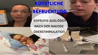 Kinderwunschupdate 5Eisprung auslösenPunktion der EizellenÜberstimmulation [upl. by O'Mahony97]