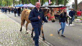 Zuidlaardermarkt Europas größter Pferde amp Jahrmarkt Paardenmarkt in Holland am 17102023 [upl. by Brooke30]