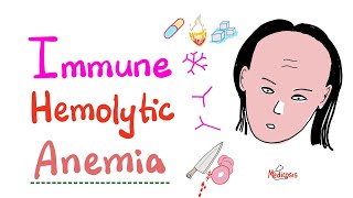 Immune Hemolytic Anemia intro [upl. by Idnor13]