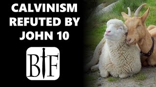 Calvinism Refuted by John 10 [upl. by Signe]