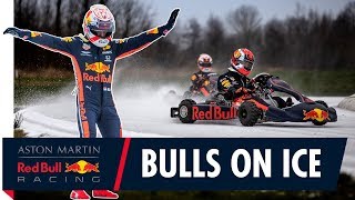 Bulls On Ice  Max Verstappen and Pierre Gasly Go Karting On Ice [upl. by Marka]