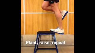 Achilles Tendonopathy Rehab eccentric heel drop [upl. by Toma]