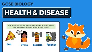 Health amp Disease  GCSE Biology [upl. by Nauqas]