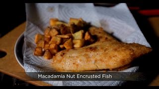 Macadamia Nut Encrusted Fish Delish [upl. by Banyaz]