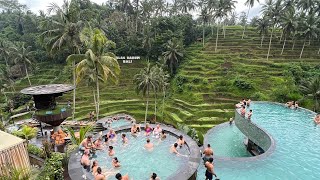 FIRST TRIP TO UBUD BALI CRETYA UBUD OVERVIEW RICE FIELD UBUD ubud ricefield bali [upl. by Briney]