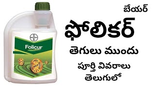 folicur fungicide full details in telugu by httpswwwyoutubecomcinnovativefarmingtelugu [upl. by Uy512]