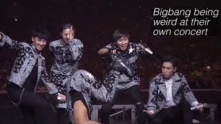 Bigbang concert but only the chaotic parts [upl. by Caleb350]