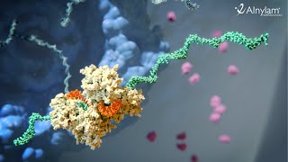 RNAi Therapeutics  How this New Class of Medicines Works [upl. by Lach493]