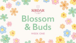 Sirdar Blossom amp Buds Crochet Along Week 1  First Buds [upl. by Shugart]