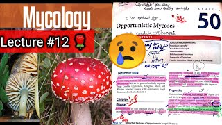 Opportunistic Mycoses 🛑 Chap 50 part 3 candida cryptococcus aspergillus mucor rhizopus [upl. by Adolph]