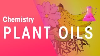 The Extraction Of Plant Oils  Organic Chemistry  Chemistry  FuseSchool [upl. by Mar]