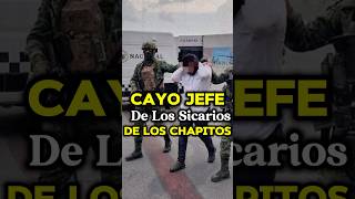 JEFE DE SICARIOS DE LOS CHAPITOS ES ARRESTADO EN CULIACÁN mexico narcos culiacan shorts facts [upl. by Germaine284]