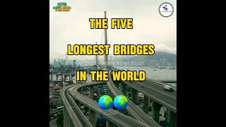 The five longest bridges in the world 🌍 The Omniknowledge ✨longestbridge theomniknowledge shorts [upl. by Nellac814]