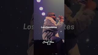 Amorfoda  Bad Bunny  Estado para WhatsApp streamsongsoficial [upl. by Amara972]