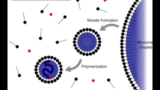 Emulsion Polymerization [upl. by Meid]