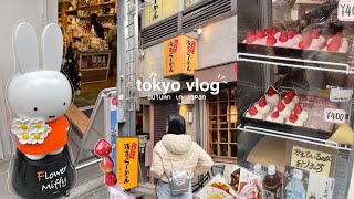 japan vlog 🍥 autumn in tokyo asakusa sensoji temple flower miffy ginza shopping streets udon [upl. by Arakawa827]