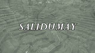 Salidumay  Music of Cordillera  Minus one  Instrumental [upl. by Nhar746]