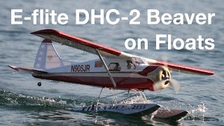 EFlite DHC2 BEAVER on Floats [upl. by Jenkel186]