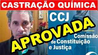 Castração química aprovada na Comissão de Constituição e Justiça [upl. by Weaver]